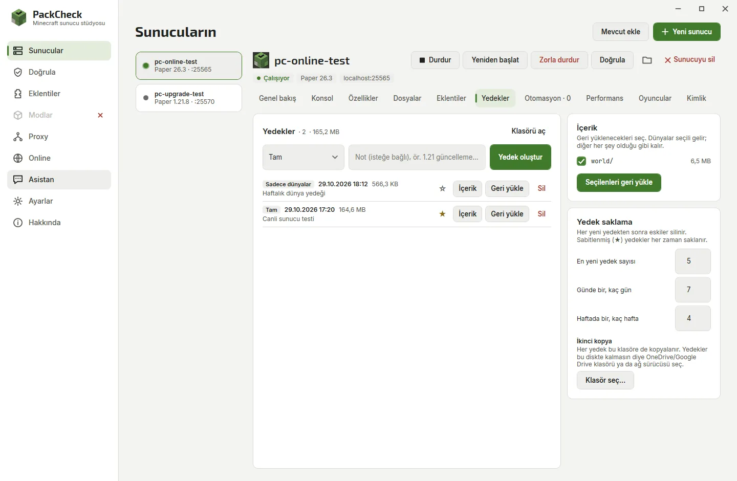 Backups tab with backup types, notes, pinning and per-world restore